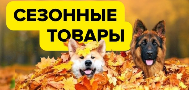 Сезонные товары